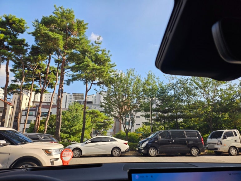 버텍스 900 전면 50% 농도로 바꾼 뒤 운전석에서 본 시야